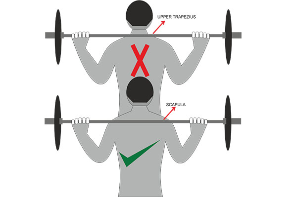 barbell position of squat