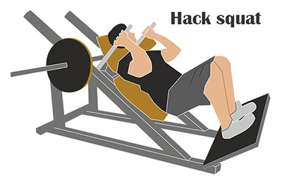 hack squat 